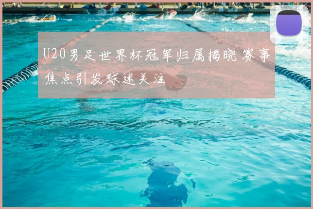U20男足世界杯冠军归属揭晓 赛事焦点引发球迷关注